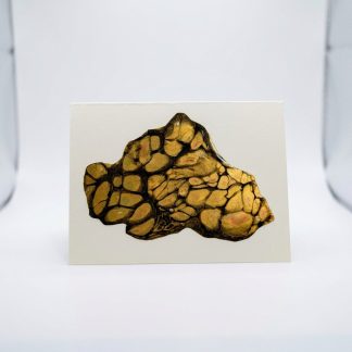 Carte de souhait #22